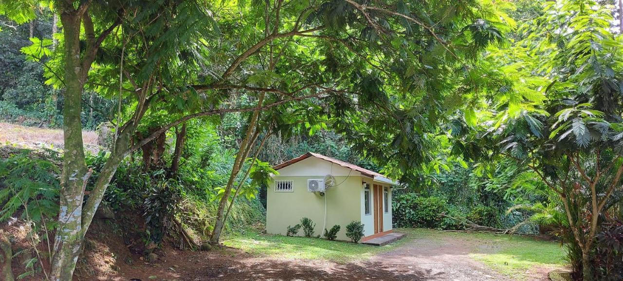 Hostal Y Cabinas Anita-And Rafting Tour! Siqurres Da Alegria المظهر الخارجي الصورة