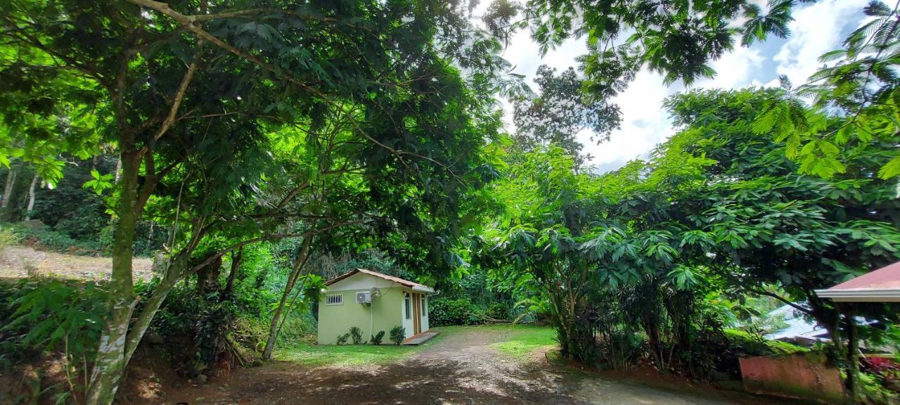 Hostal Y Cabinas Anita-And Rafting Tour! Siqurres Da Alegria المظهر الخارجي الصورة