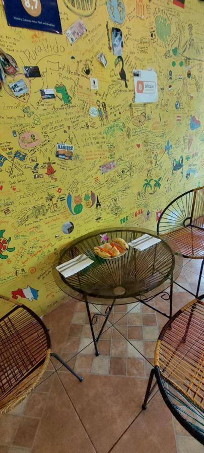 Hostal Y Cabinas Anita-And Rafting Tour! Siqurres Da Alegria المظهر الخارجي الصورة