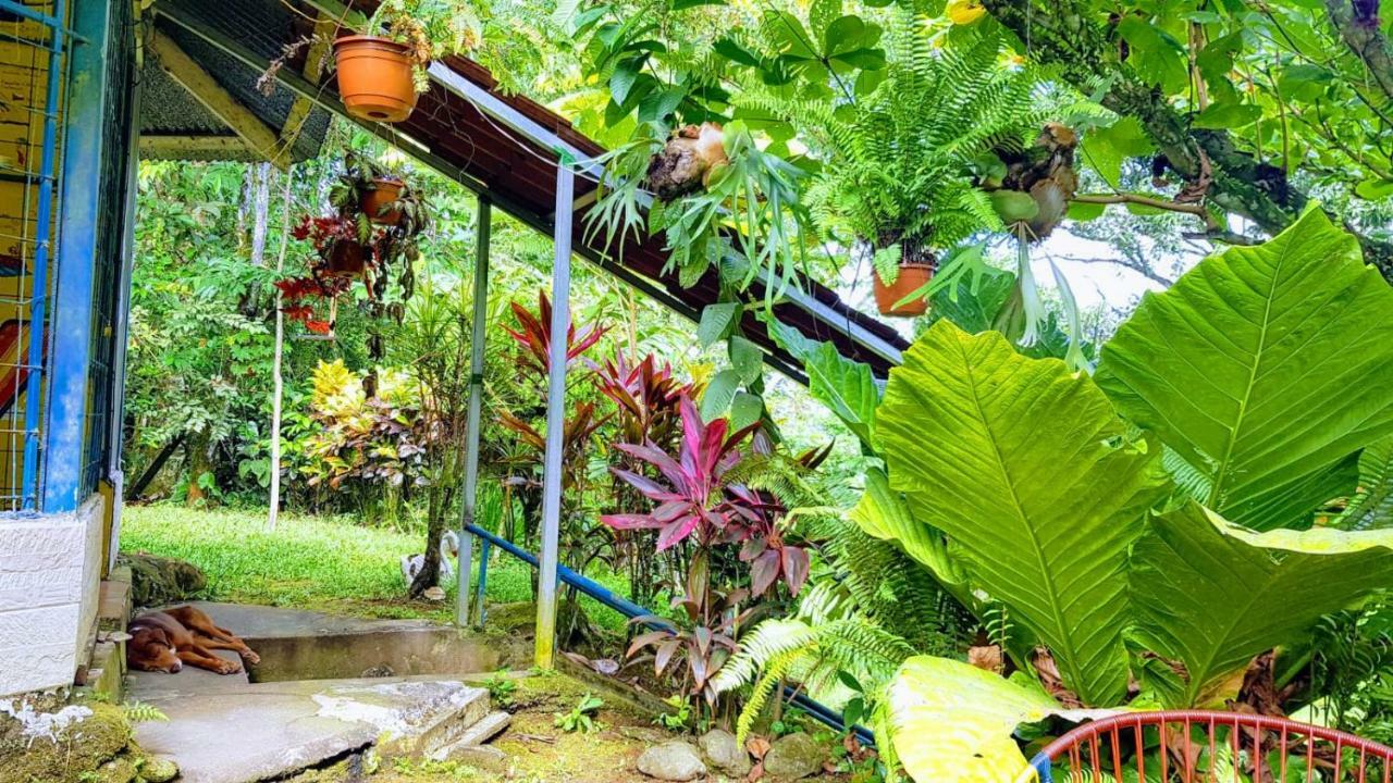 Hostal Y Cabinas Anita-And Rafting Tour! Siqurres Da Alegria المظهر الخارجي الصورة